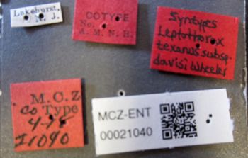 Media type: image;   Entomology 21040 Aspect: labels